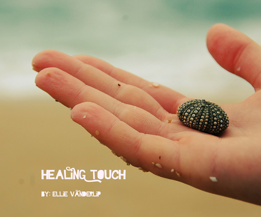 Book by Elise Vanderlip